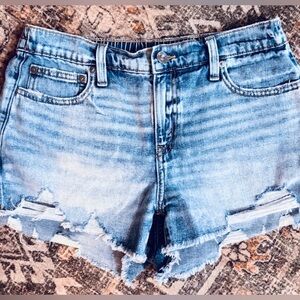 Aerie Light Blue Distressed Jean Short's Size Small Petite
